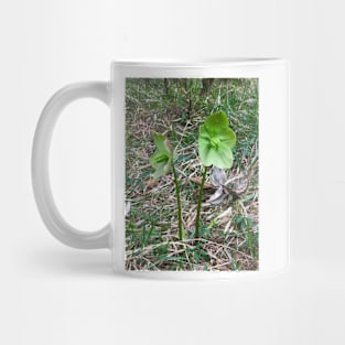 Snow Roses Mug